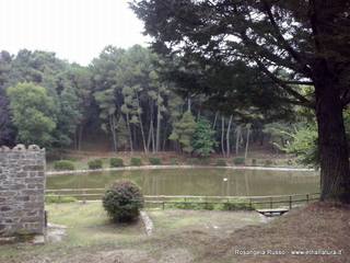 ano Collura-17-08-2015 08-49-37